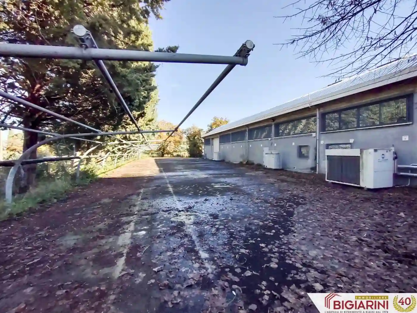 Palazzo - Edificio - foto 5