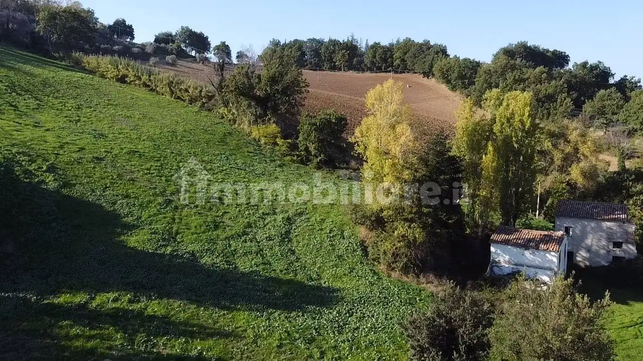 Casa colonica Contrada Palombare 7, Camporotondo di Fiastrone - foto 5