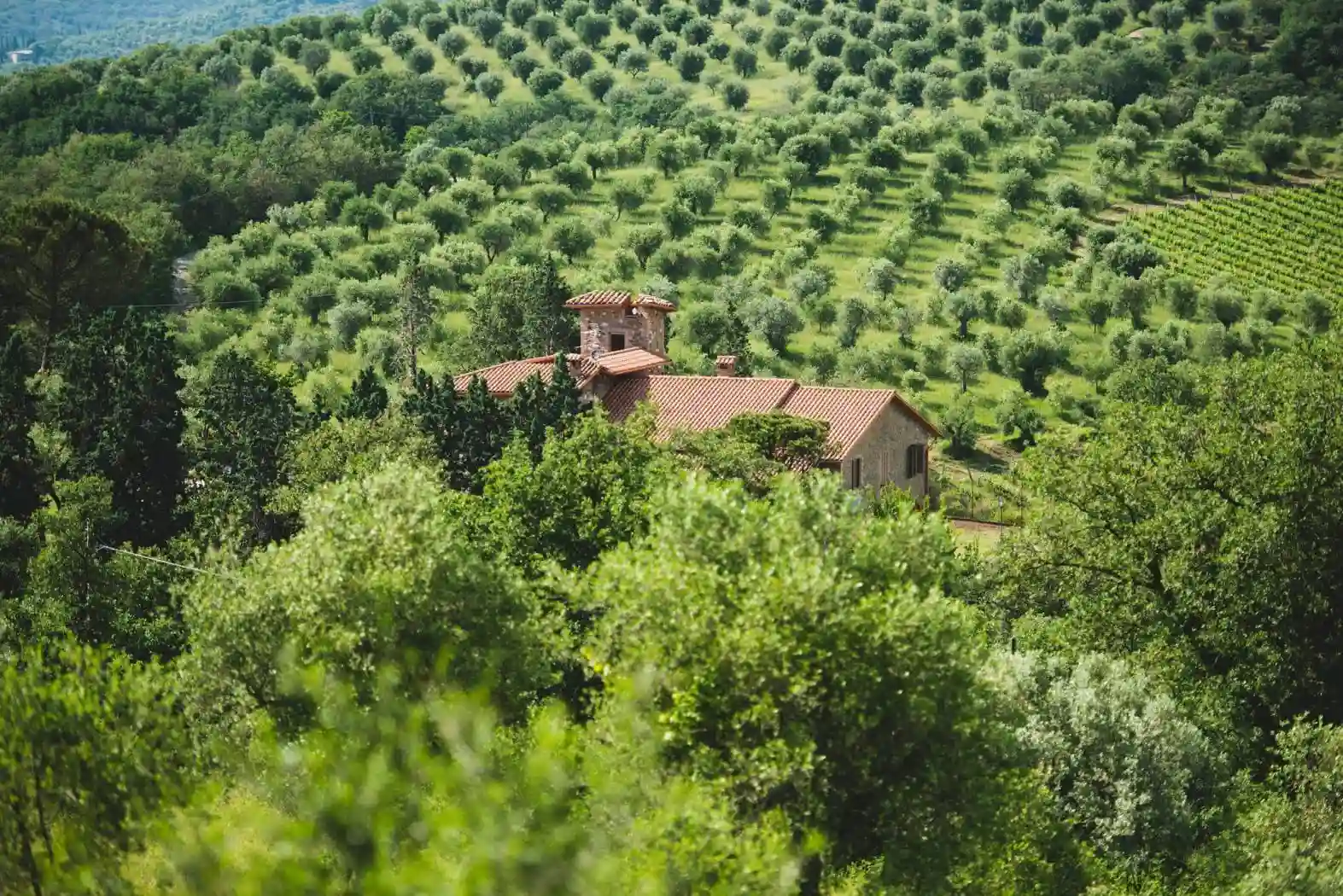 Rustico - Casale - foto 2