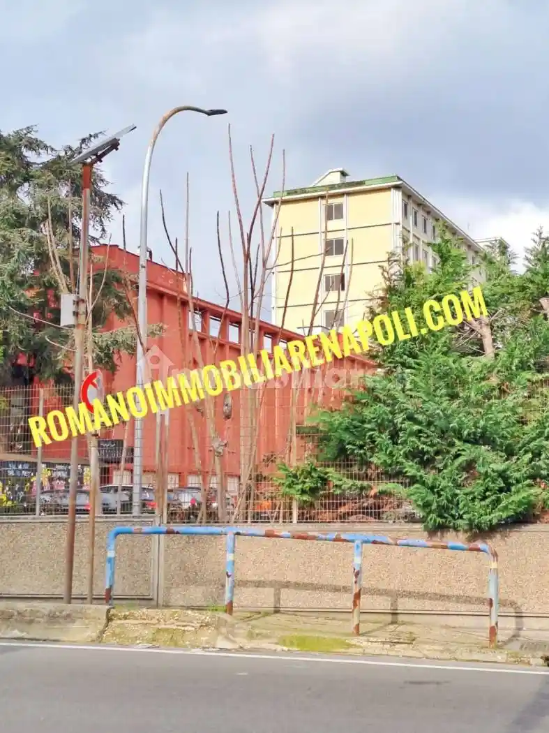 Palazzo - Edificio - foto 2