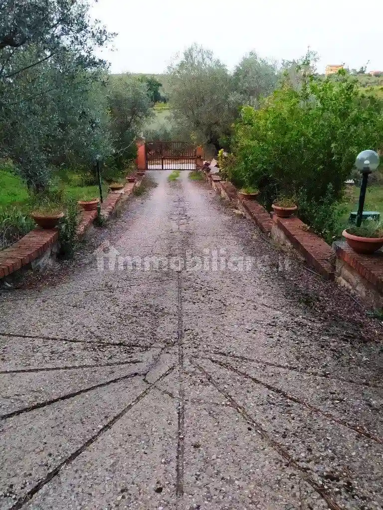 Palazzo - Edificio - foto 3