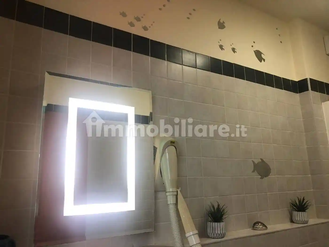 Appartamento in affitto a Pisa