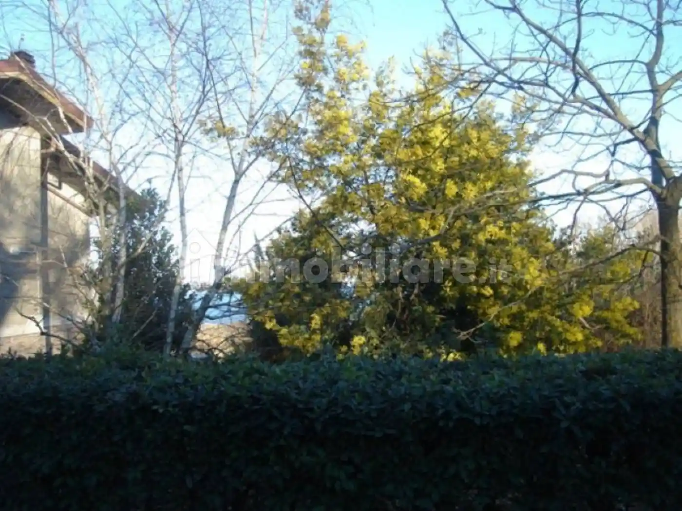 Rustico - Casale in vendita a Valentano