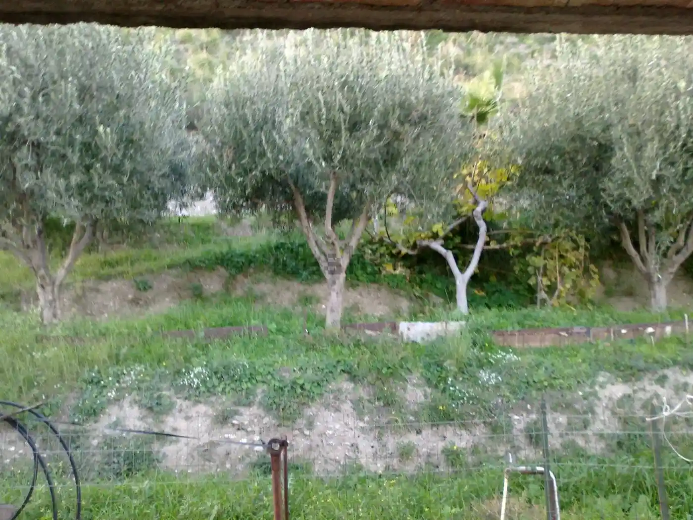 Terratetto unifamiliare via Pasquale Calabrò 4, Galati, Brancaleone - foto 4