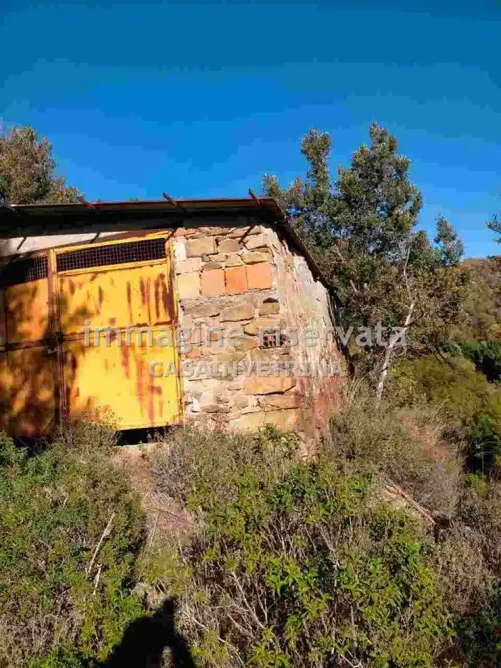 Rustico - Casale in vendita a Scansano