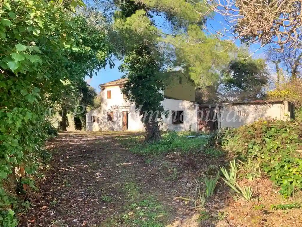 Casa indipendente - foto 3