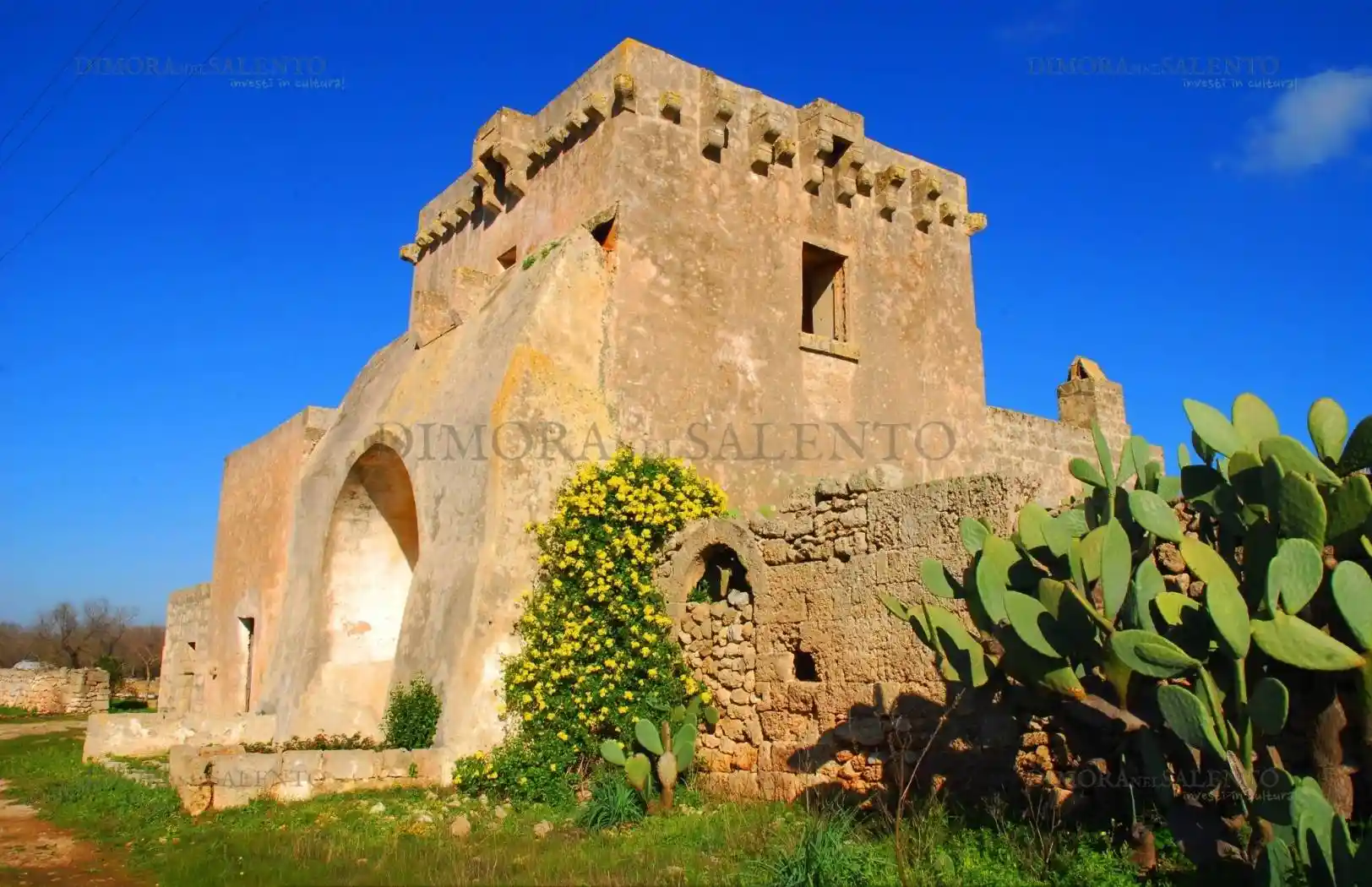 Rustico - Casale in vendita a Presicce-Acquarica