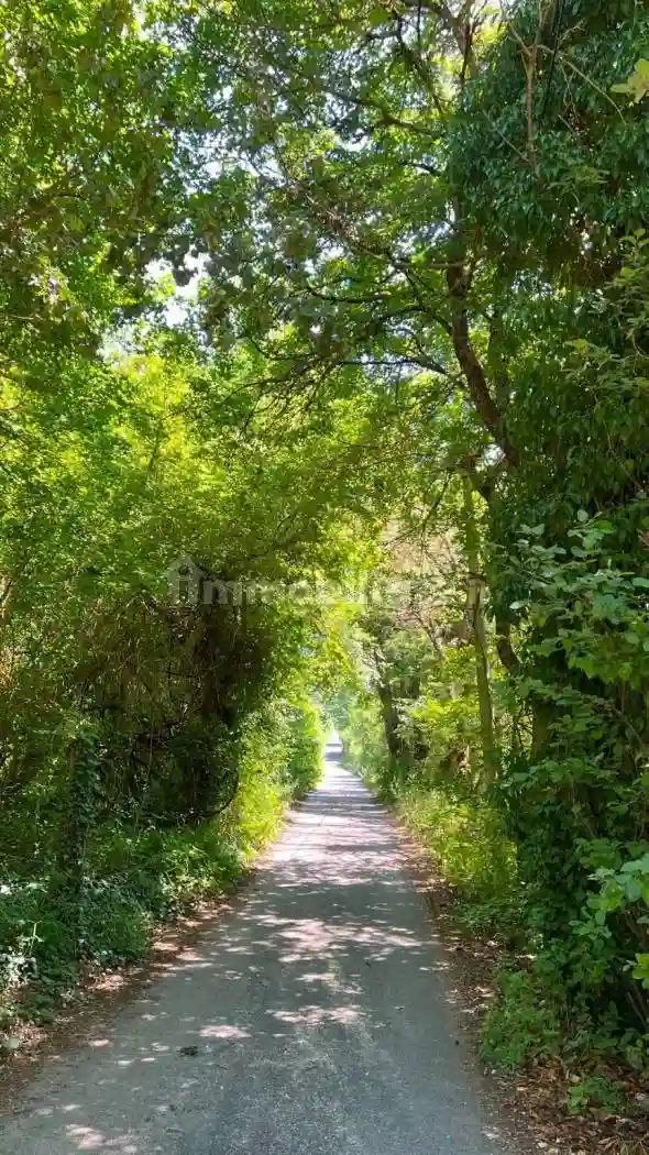 Villa unifamiliare via della Fonte 3, Massa D'Albe Corona, Massa d'Albe - foto 4