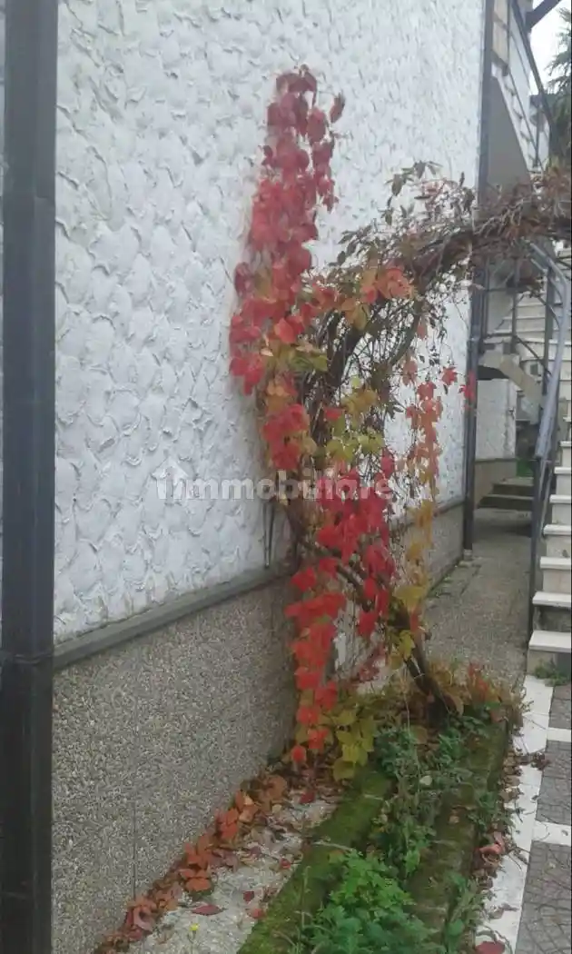 Villa unifamiliare via Antonio Gramsci 116, Centro, Guardiagrele - foto 3