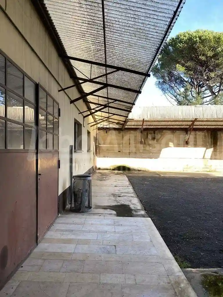 Palazzo - Edificio - foto 3