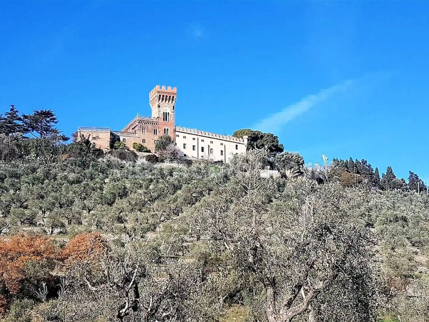 Palazzo - Edificio in vendita a Campiglia Marittima