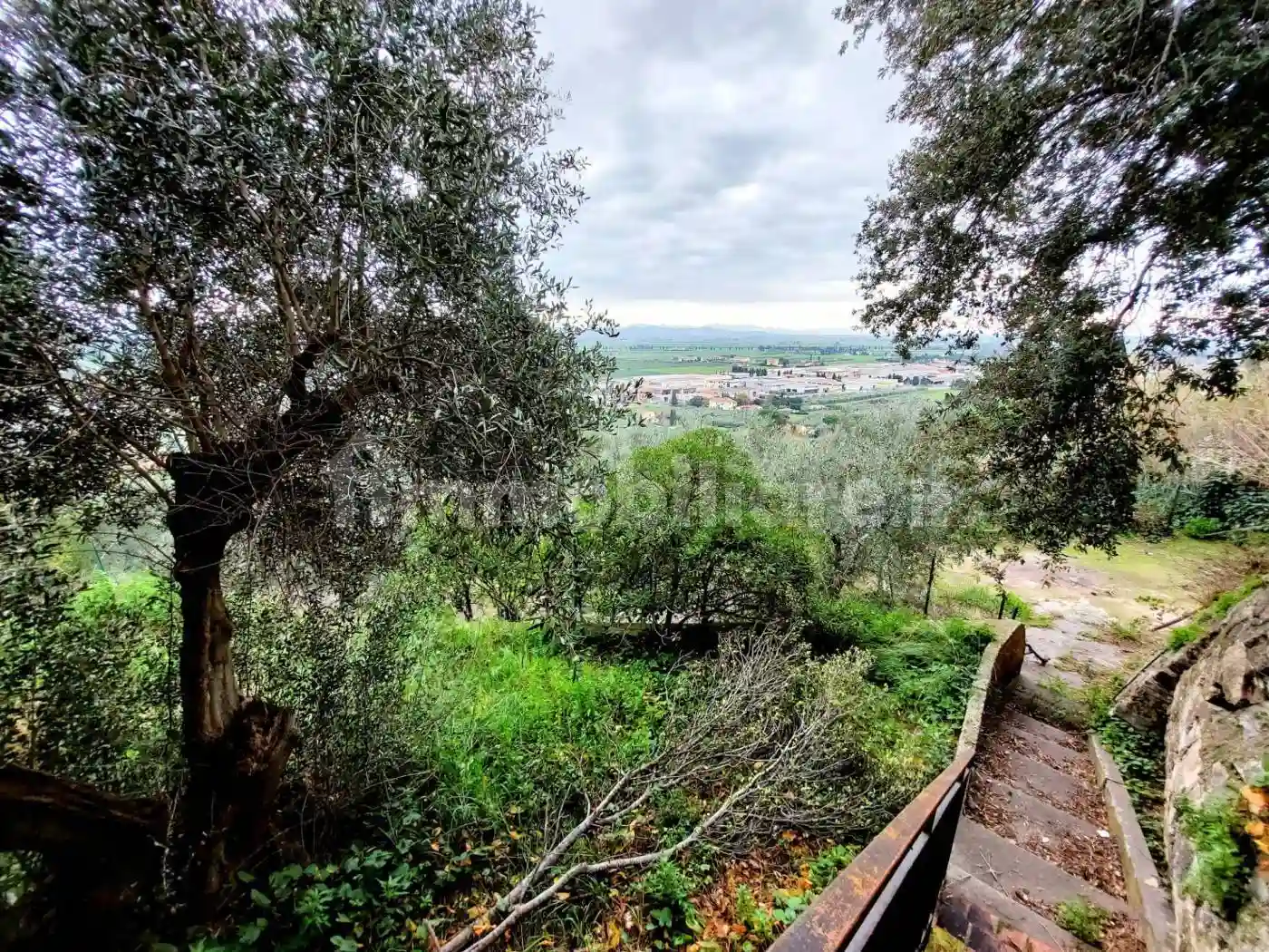 Palazzo - Edificio - foto 5