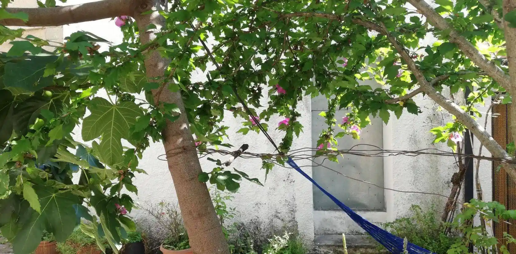 Appartamento via Camillo Benso di Cavour 6, Albano di Lucania - foto 5