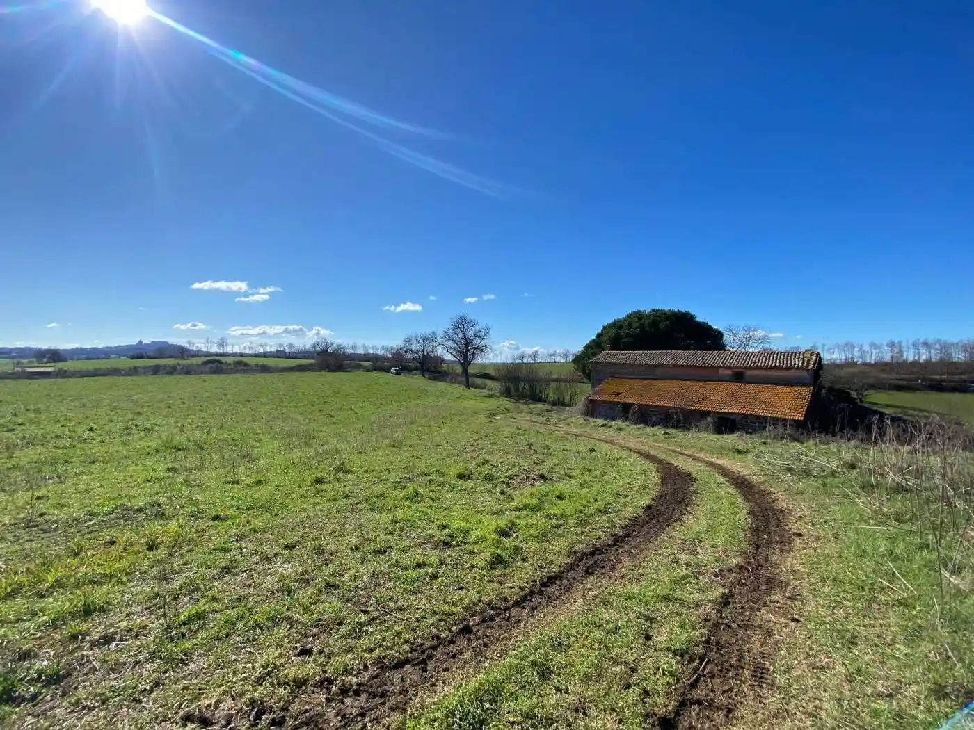 Rustico - Casale in vendita a Montefiascone