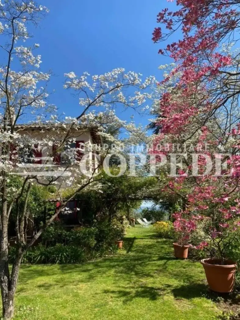 Villa in affitto a Orvieto