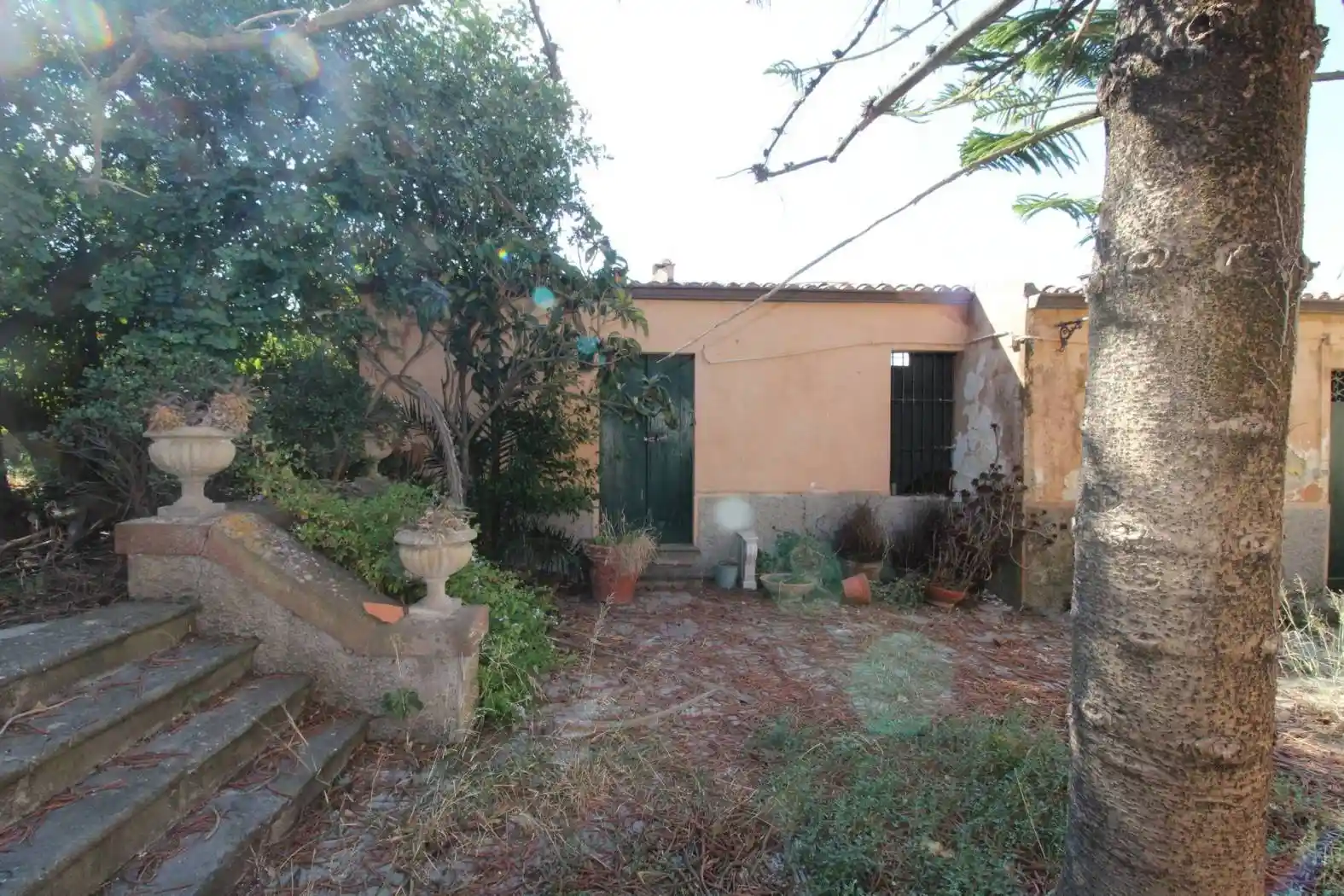 Palazzo - Edificio - foto 2