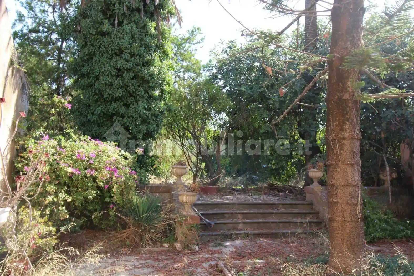 Palazzo - Edificio - foto 3