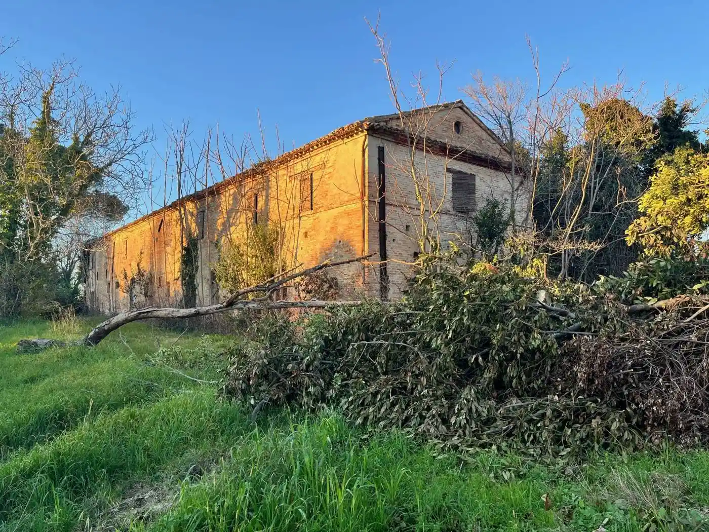 Rustico - Casale in vendita a Monte San Vito