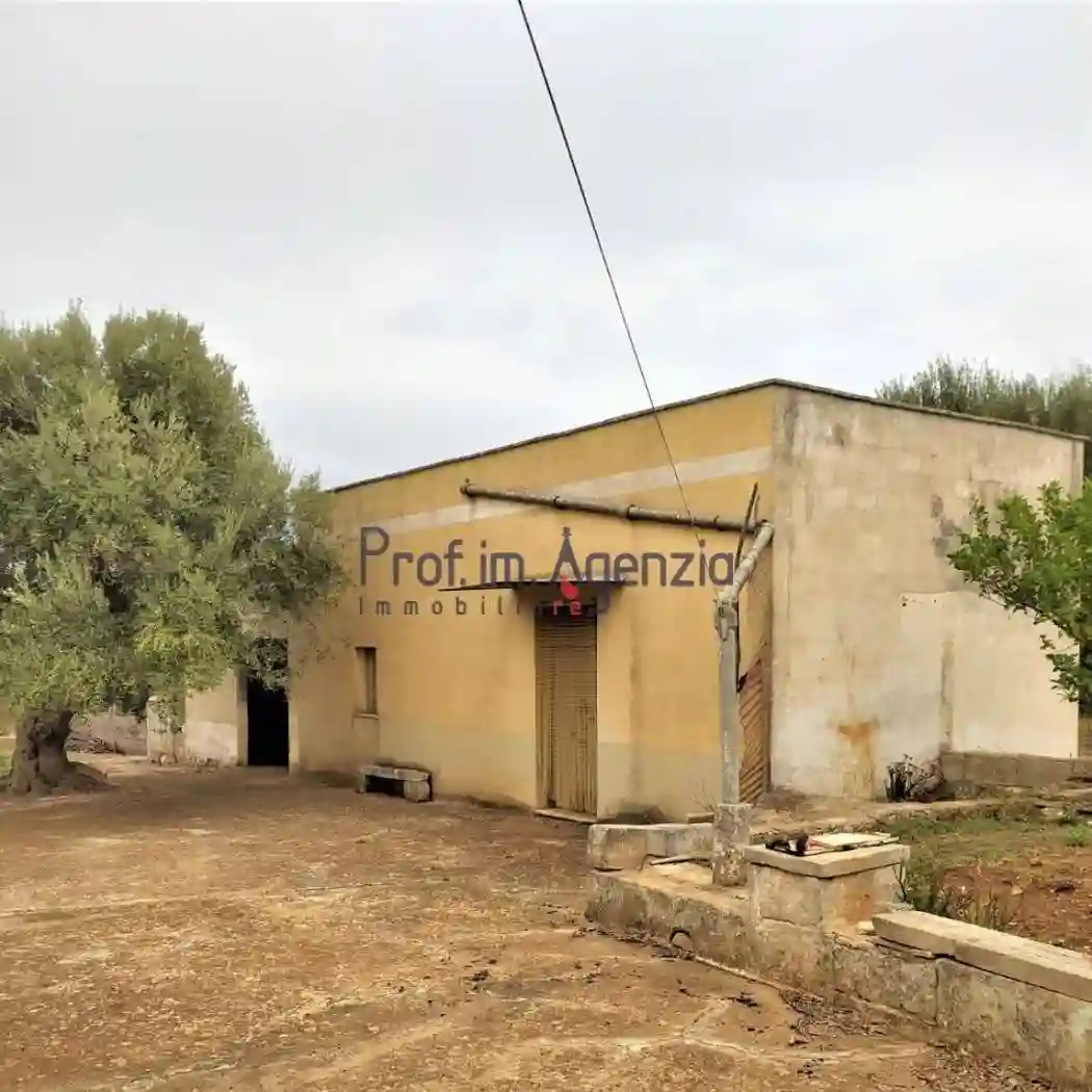 Rustico - Casale - foto 5