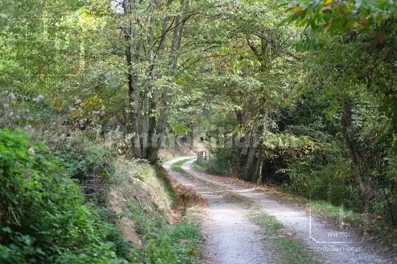 Casa colonica, ottimo stato, 280 m², Pieve Santo Stefano, Lucca - foto 2