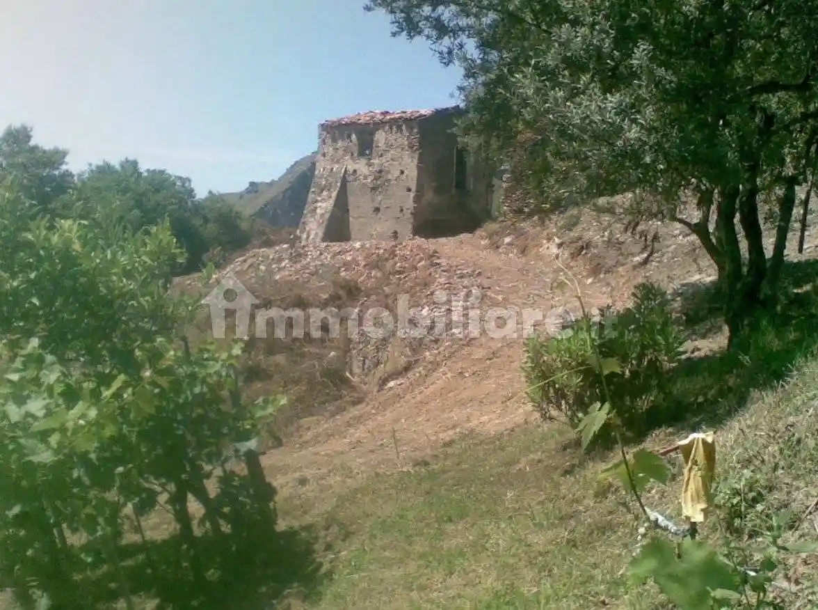 Rustico Sp11, Maierà - foto 4