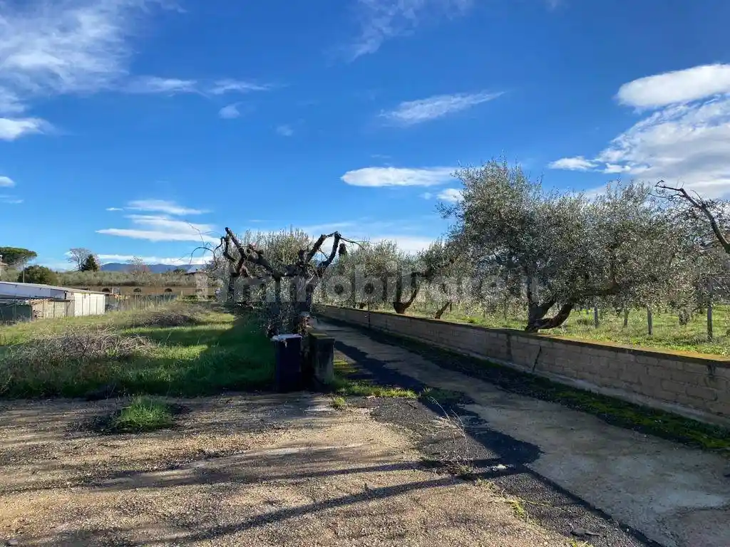 Casa indipendente in vendita a Zagarolo