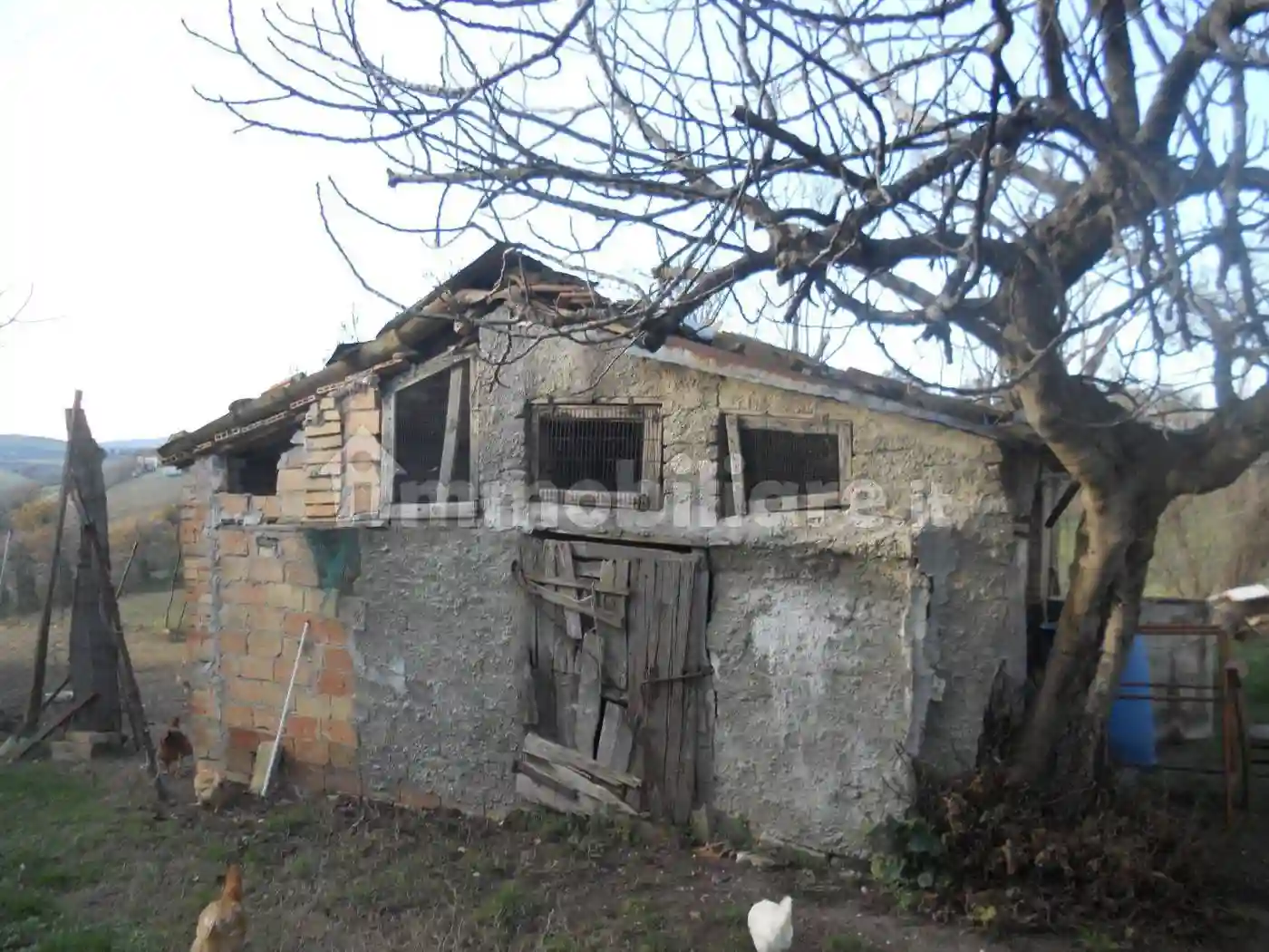 Palazzo - Edificio - foto 4