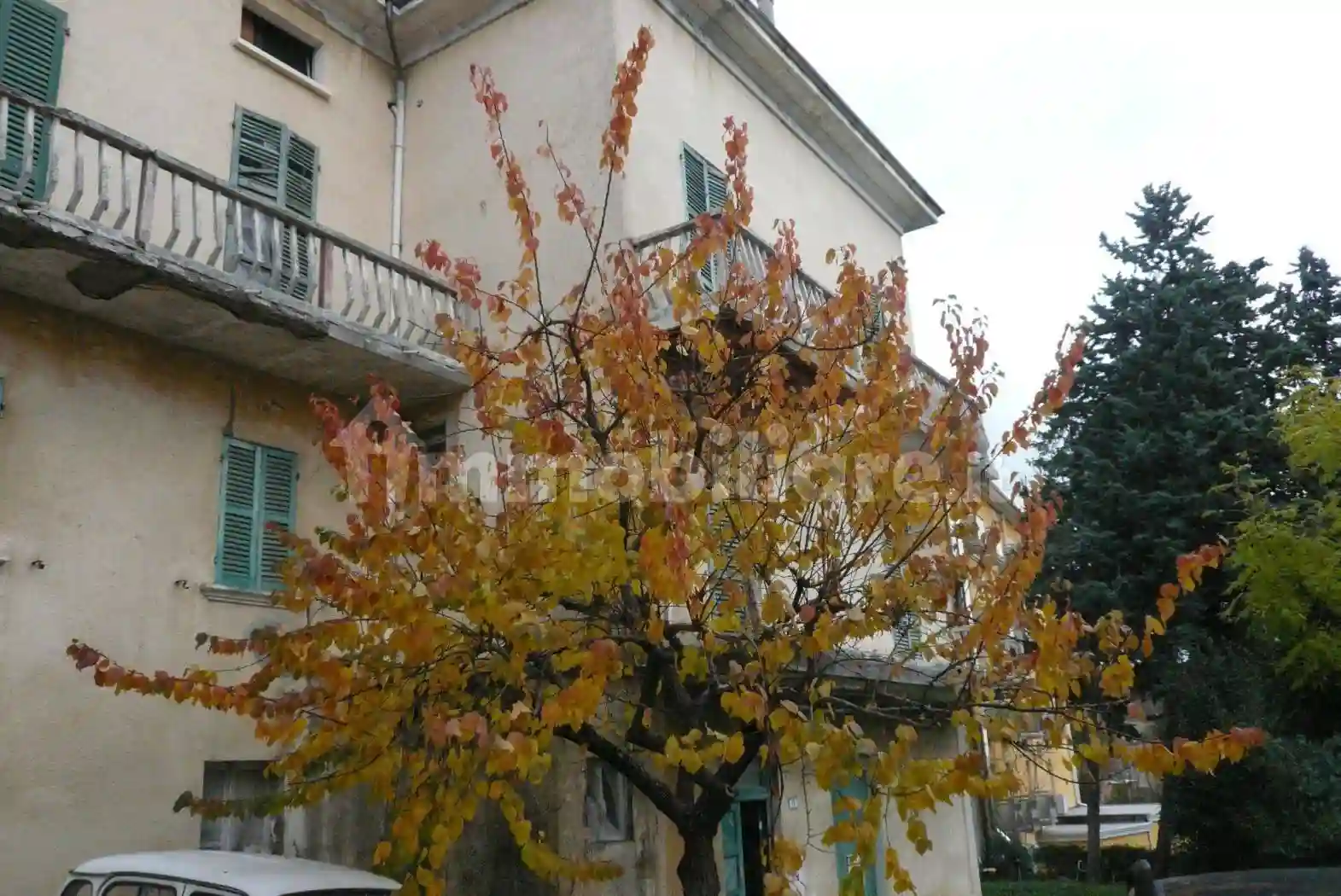 Palazzo - Edificio - foto 3