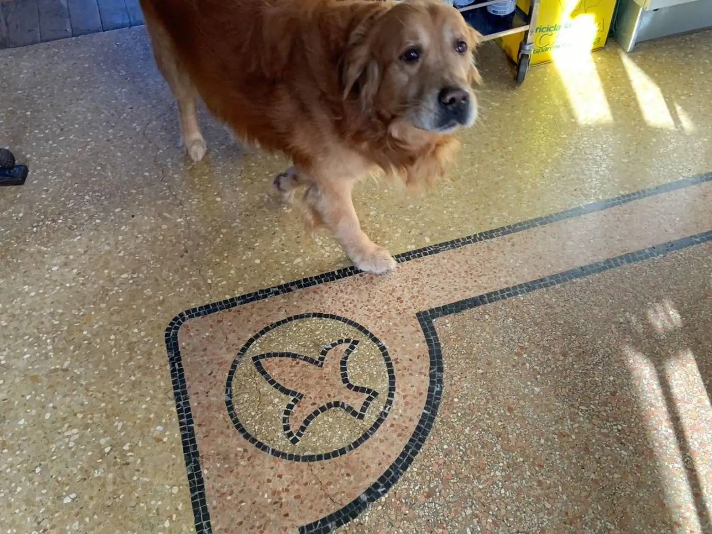 Appartamento Strada Rossina 40, San Genesio, Castagneto Po - foto 4