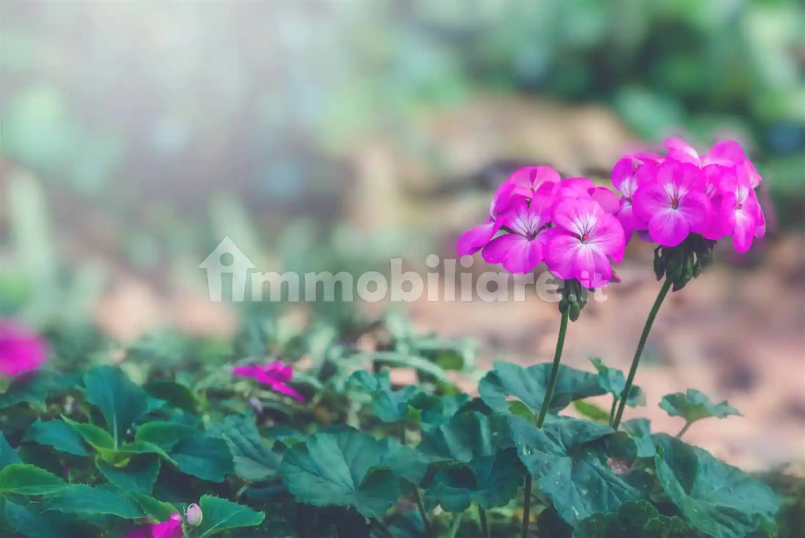 Villa in vendita a Vecchiano