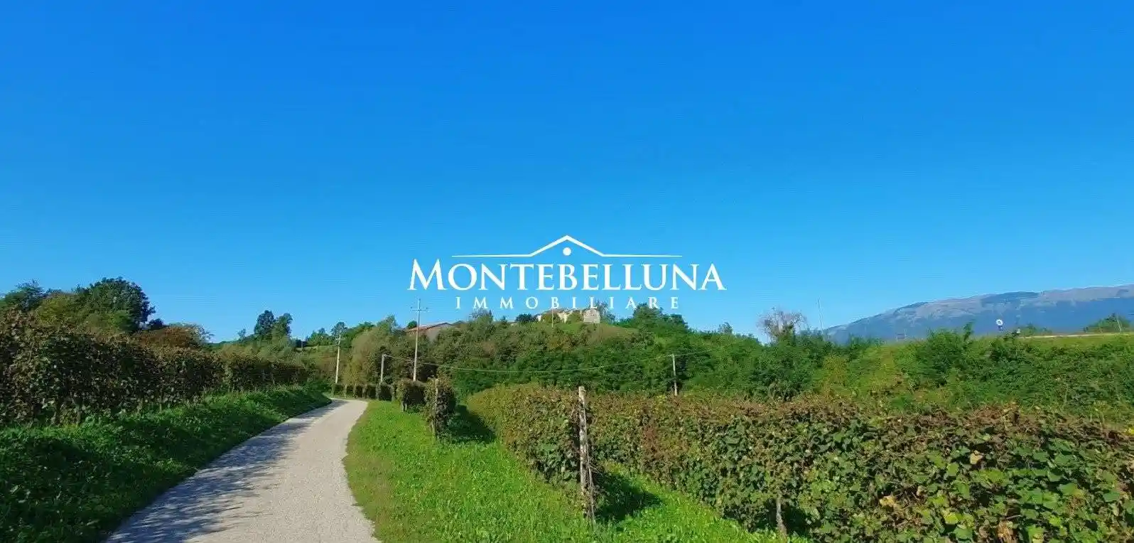 Rustico - Casale in vendita a Conegliano