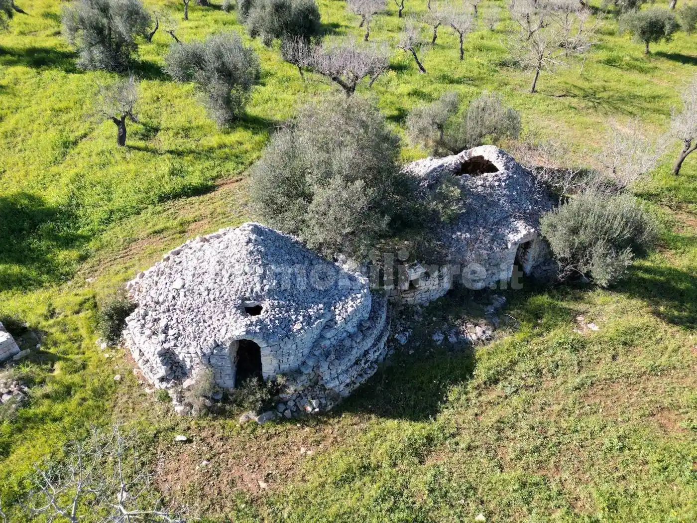 Rustico - Casale in vendita a Castellana Grotte