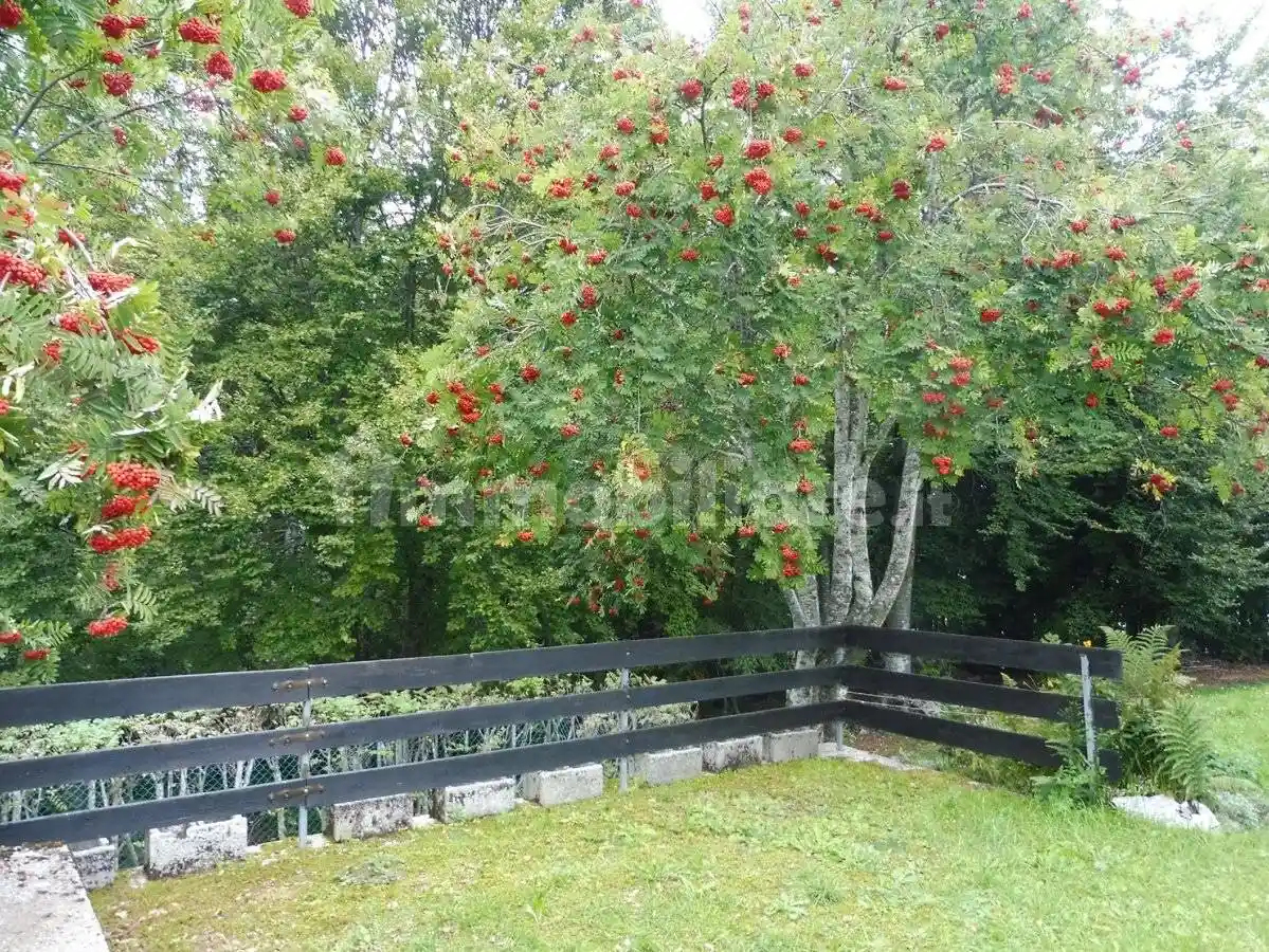 Villa unifamiliare via Dell'Albero, 25, Solagna - foto 5