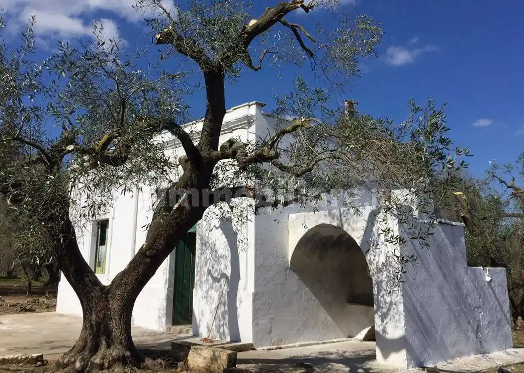 Rustico - Casale in vendita a San Vito dei Normanni