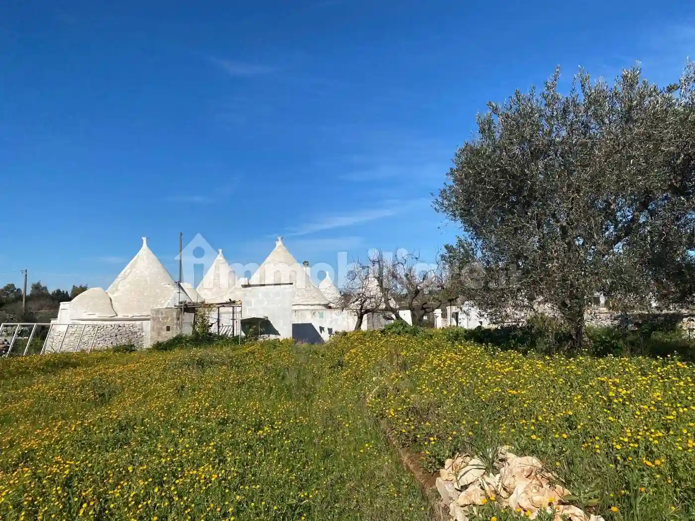 Rustico - Casale - foto 4