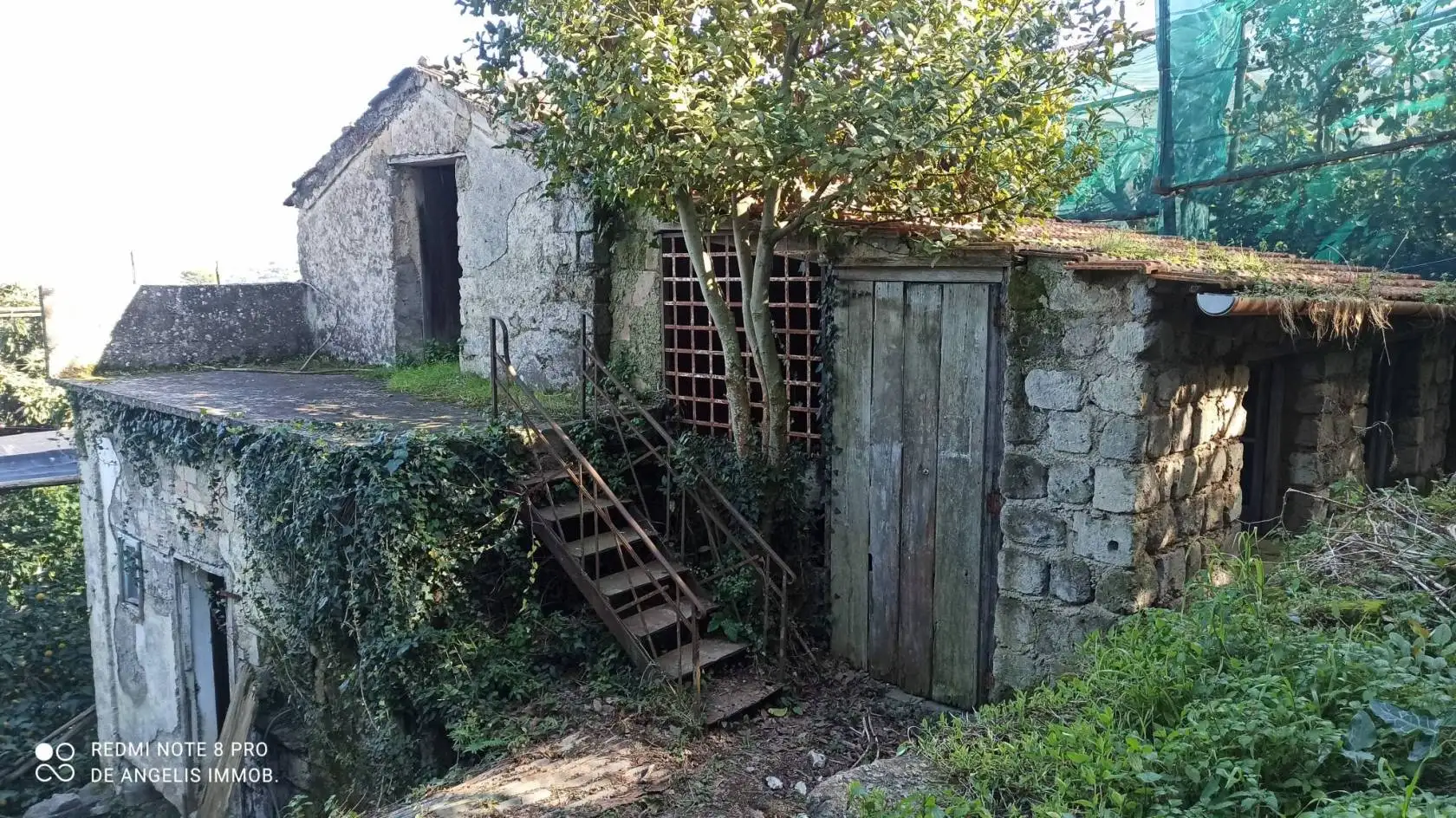 Villa in vendita a Sant'Agnello