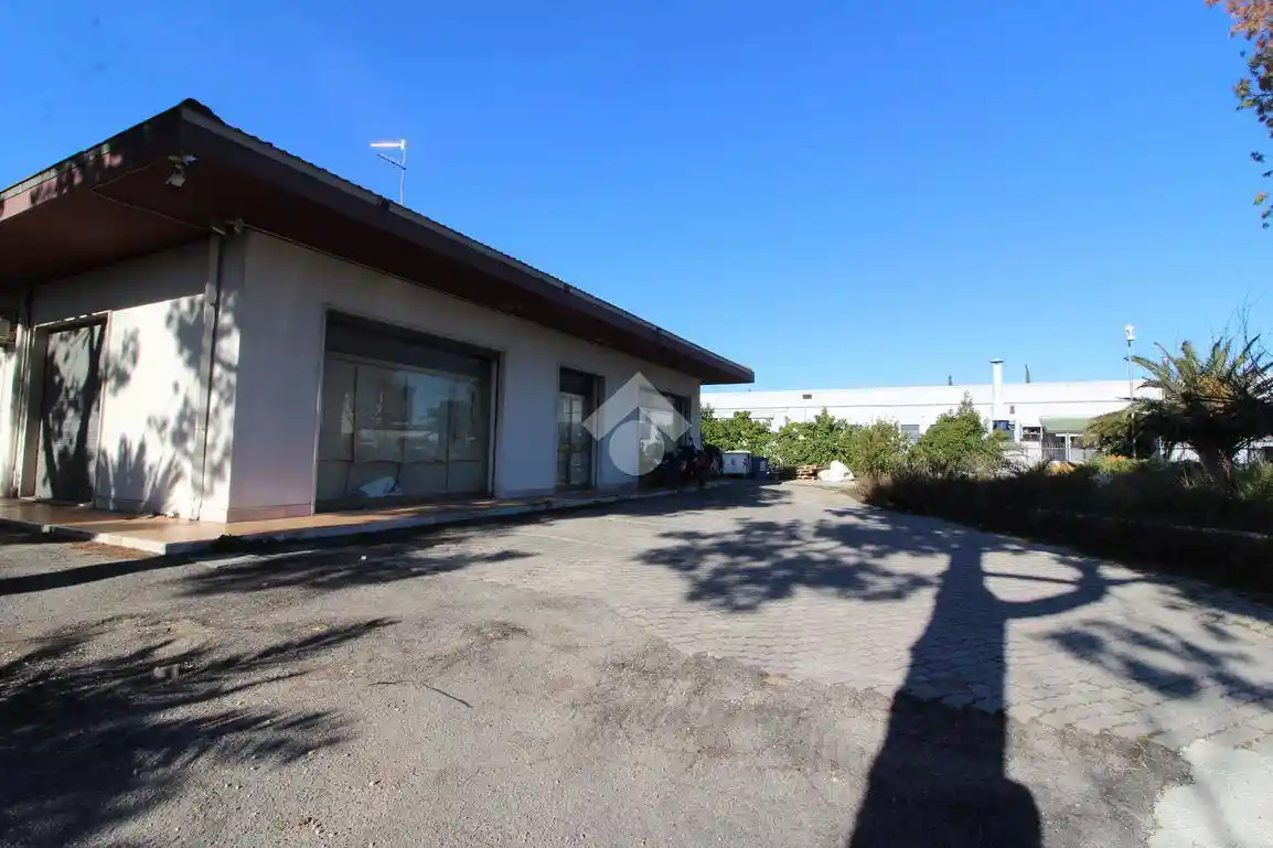 Palazzo - Edificio in Vendita - foto 4