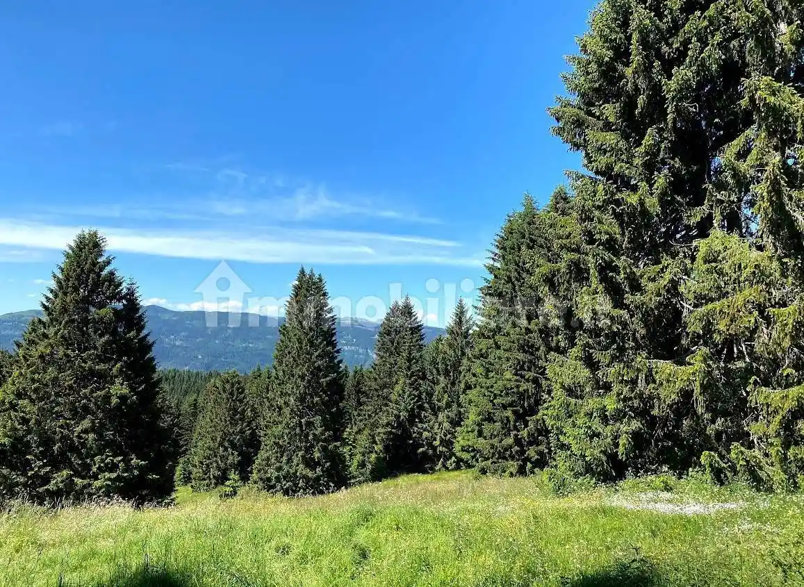 Palazzo - Edificio in vendita a Lavarone