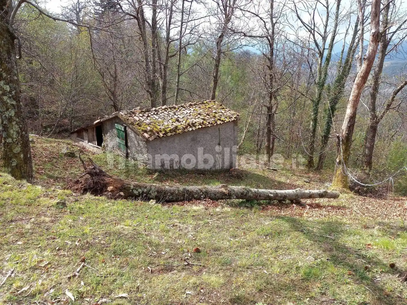 Rustico - Casale in vendita a Fosciandora
