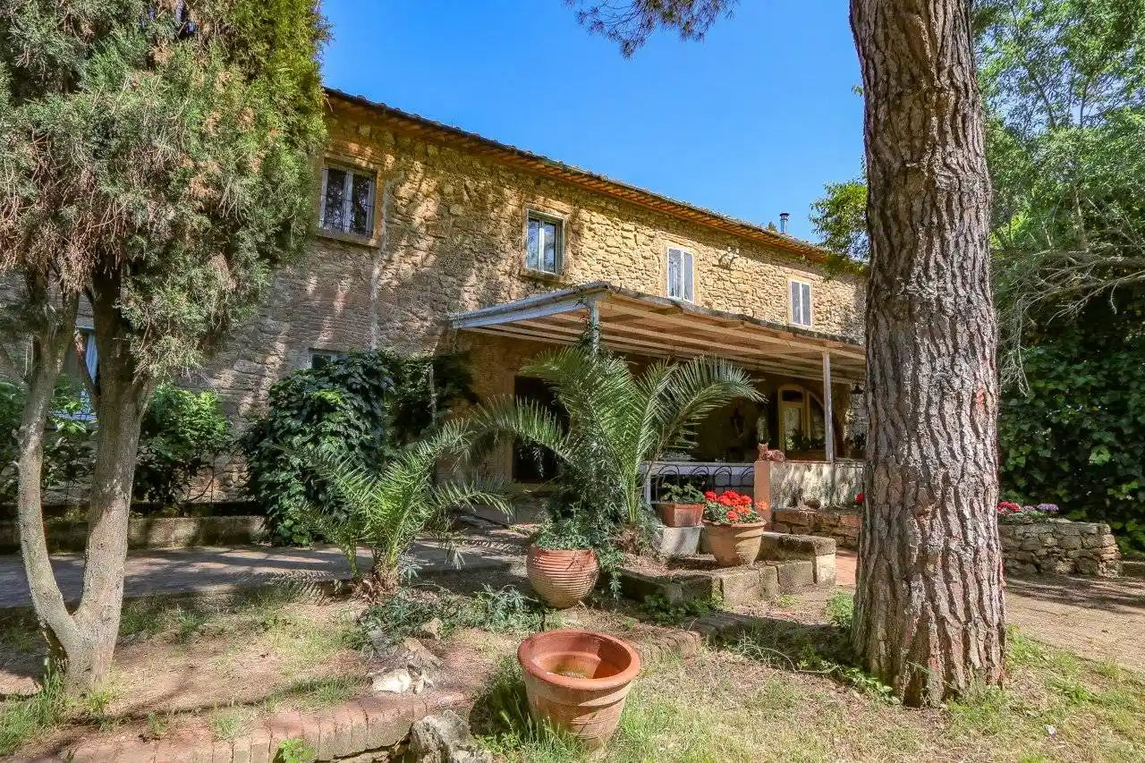 Rustico - Casale in vendita a Montescudaio