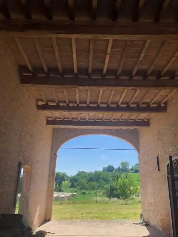 Rustico - Casale in vendita a Quattro Castella