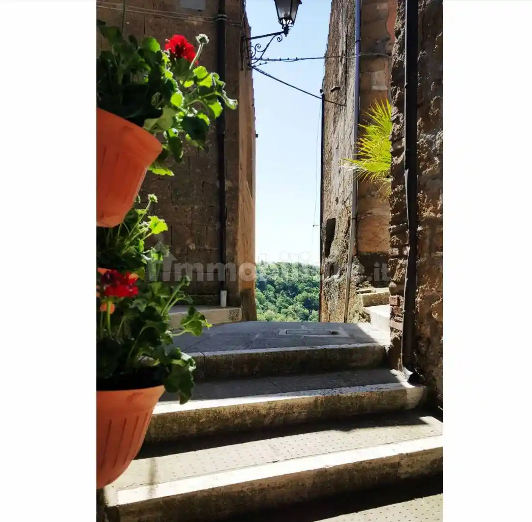 Appartamento in vendita a Pitigliano