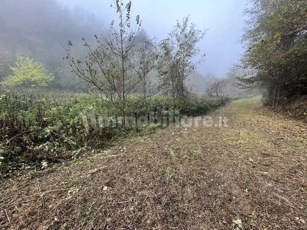 Casa indipendente in vendita a Montafia