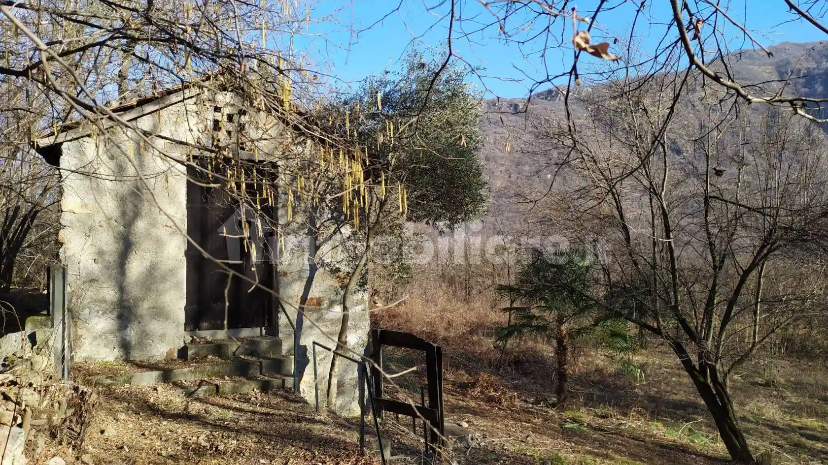 Rustico - Casale in vendita a Casale Corte Cerro