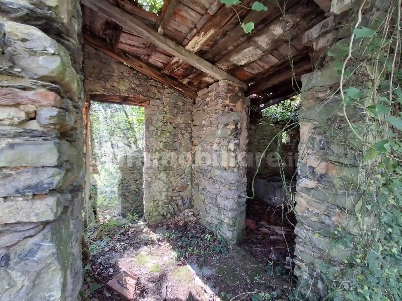 Rustico - Casale - foto 4