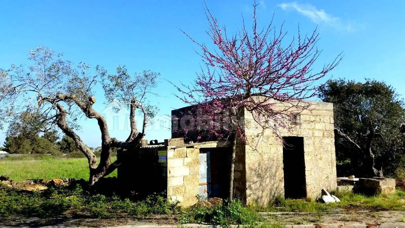 Rustico - Casale in vendita a Corsano