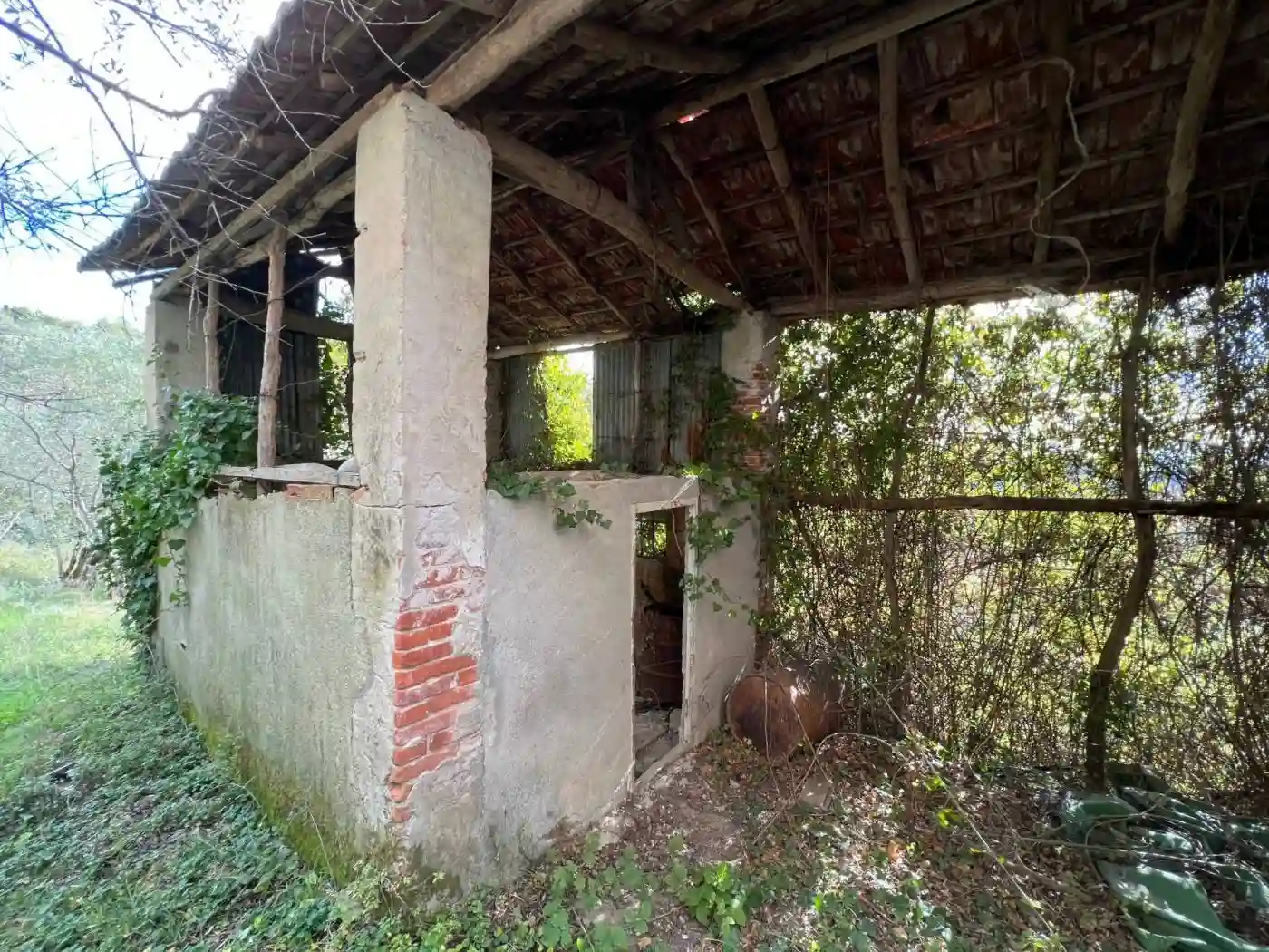 Rustico - Casale - foto 5