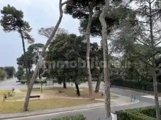 Appartamento in affitto a Forte dei Marmi