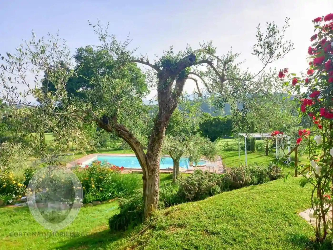 Rustico - Casale - foto 5