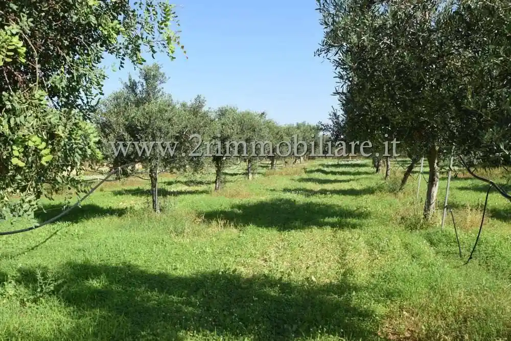 Villa unifamiliare via Farfantazzo, Quarara, Costa Orientale, Mazara del Vallo - foto 4